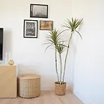 Urban Sky Luxury Flat With Amazing Views In * 马拉加